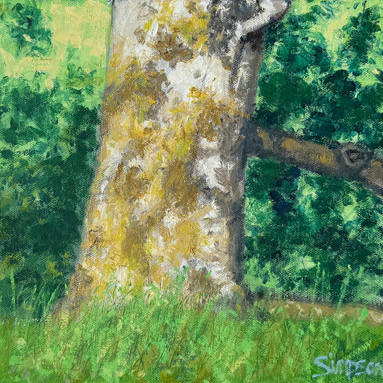 Mossy Tree