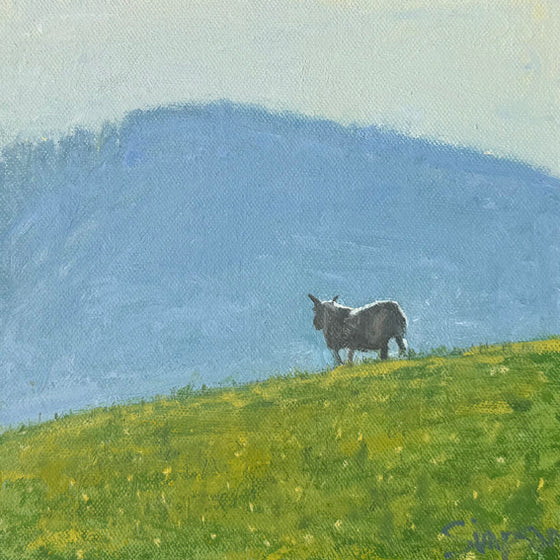 Sheep and Hill