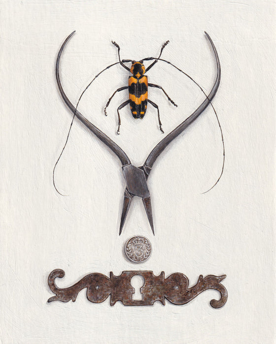 Beetle with Pliers and Escutcheon